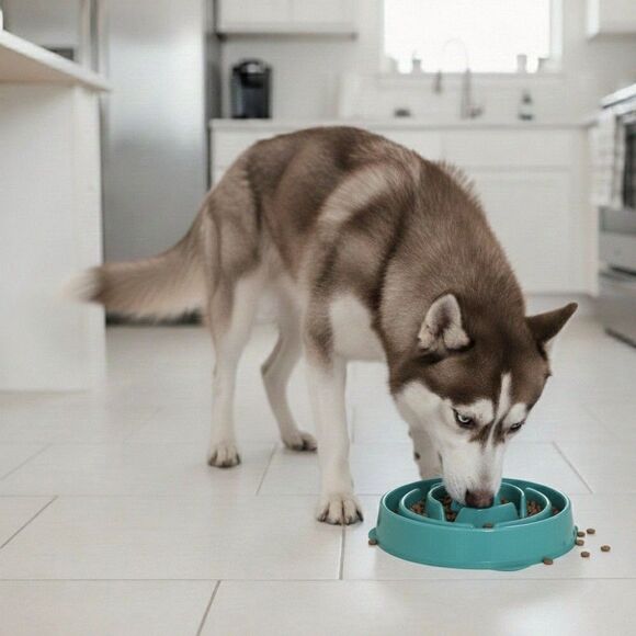 NWT Outward Hound Slo Bowl Turquoise Blue LARGE Slow Feeder Anti Bloat Dog Bowl - Picture 3 of 9